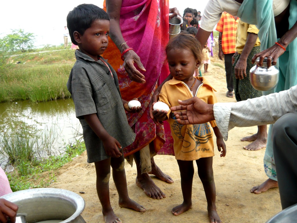 Indien- Milch und Ei